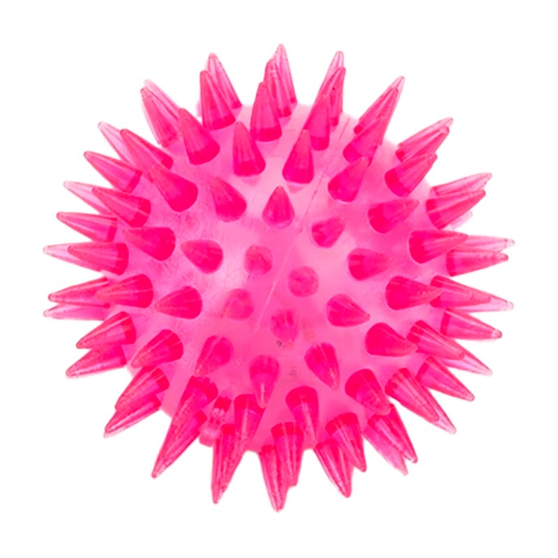 ������������ ���. PR24124 (576��) ������, 6,5 ��, 24 �� � �������