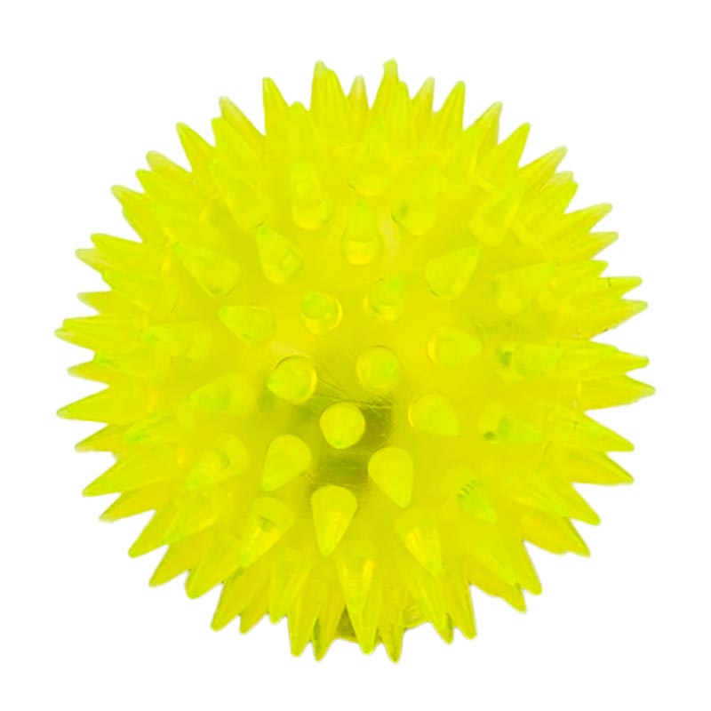 ������������ ���. PR24124 (576��) ������, 6,5 ��, 24 �� � �������