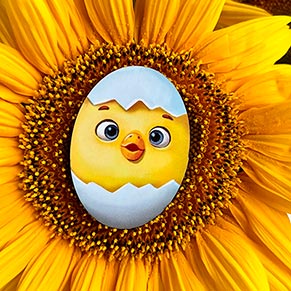 ������-������� "������� - ������" ����������� �����'����