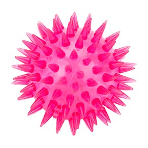 ������������ ���. PR24124 (576��) ������, 6,5 ��, 24 �� � �������