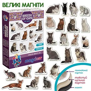 ��������� ���� "������ ����"�� ����.��� ML4031-13 EN