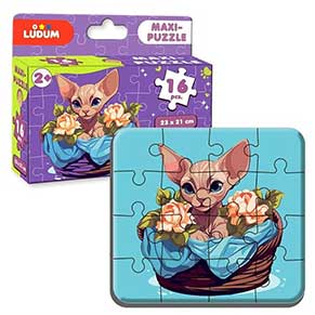 ���� ����-���� ����� 2 ME5032-03