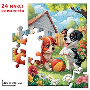 ���-���� 24 ��������
